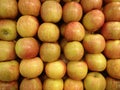 Closeup shot of a pile of apple
