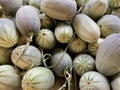 Closeup shot of a pile of cantaloupes at a market