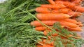 Closeup shot of a pile of carrots