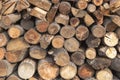 Closeup shot of a pile of cut firewood logs Royalty Free Stock Photo