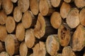 Closeup shot of a pile of  dry chopped firewood logs Royalty Free Stock Photo