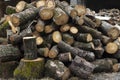 Closeup shot of a pile of firewood barks Royalty Free Stock Photo