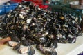 Closeup shot of a pile of fresh mussels on sale in a market Royalty Free Stock Photo