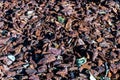 Closeup shot of a pile of gravel Royalty Free Stock Photo