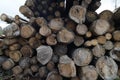 Closeup shot of a pile of logs