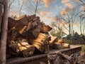 Closeup shot of a pile of logs with the evening sunset illuminating the clouds in the background