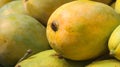 Closeup shot of a pile of mangoes at a market