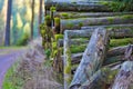 Closeup shot of a pile of mossy logs in the Thuringian Forest