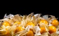 Closeup shot of a pile of orange physalis fruits with leaves