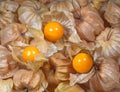 Closeup shot of a pile of orange physalis fruits with leaves