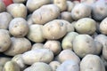 Closeup shot of a pile of potatoes in a market place, Potatoes. Texture vegetable white young potato Royalty Free Stock Photo