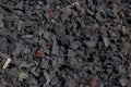 Closeup shot of a pile of shredded recycled tires