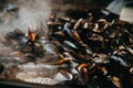 Closeup shot of a pile of tasty oysters being cooked in a kitchen