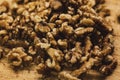 Closeup shot of a pile of unshelled walnut details