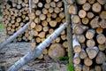 Closeup shot of piles of logs in th