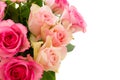 Closeup shot of pink rose bouquet isolated on a white background with a copy space Royalty Free Stock Photo