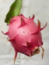 Closeup shot of Pitaya, Dragon fruit on white background Royalty Free Stock Photo