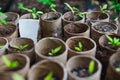 Closeup shot of plant pots in the soil ground. Round cylindric shape pots for growing plants