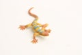 Closeup shot of a plastic lizard toy miniature isolated on white background