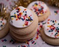 Closeup shot of plate of sugar cookies with sprinkles