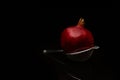 Closeup shot of pomegranate with a small sieve on black background Royalty Free Stock Photo