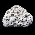 Closeup shot of a porous pebble from the beach isolated on the black background