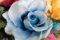 Closeup shot of a preserved blue rose