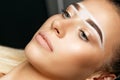 Closeup shot of a pretty woman`s face with brow paste Royalty Free Stock Photo