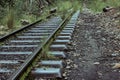 Closeup shot of a railroad surrounded by grass and rocks on a gloomy day Royalty Free Stock Photo