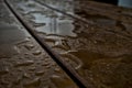 Closeup shot of raindrops on tram rails Royalty Free Stock Photo