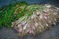 A closeup shot of raw garlic with covering and leaves. Organically grown garlic in North India