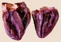 Closeup shot of a real heart sectioned in two on a beige background