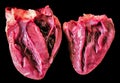 Closeup shot of a real heart sectioned in two on a black background