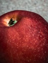 Closeup shot of a red apple with waterdrops Royalty Free Stock Photo