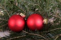 Closeup shot of red Chrismas balls