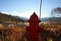 Closeup shot of a red fire hydrant in a brown grass field Royalty Free Stock Photo
