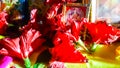 Closeup Shot Red Flowers Of Indian Hindu Worship. Maha Lakshmi Puja Or Worship.