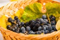 Closeup shot of red grapes and a large green leaf in a wooden basket Royalty Free Stock Photo