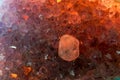 Closeup shot of a red textured crystal rock with a white round on set on top