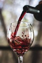 Closeup shot of red wine pouring in glass isolated on blurry background