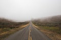 Closeup shot of a road leading to Point Reyes National Seashore in California during a misty weather