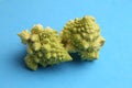 Closeup shot of Romanesco broccoli vegetables on a blue surface Royalty Free Stock Photo