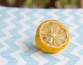 Closeup shot of a rotten half piece of a lemon