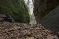 Closeup shot of rough rugged rock formations in a forest with fallen dry leaves on a ground