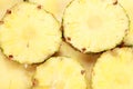 Closeup shot of round juicy pineapple slices