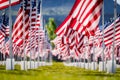 Closeup shot of rows of American flags on a field