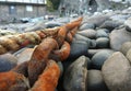 Closeup shot of a rustic boat chain on the stones