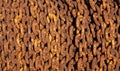 Closeup shot of rusty chains bunch Royalty Free Stock Photo