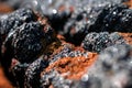 Closeup shot of rusty metal pieces on a blurred background Royalty Free Stock Photo