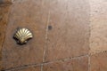 Closeup shot of the scallop shell, iconic symbols of the Camino de Santiago pilgrimage in Spain Royalty Free Stock Photo